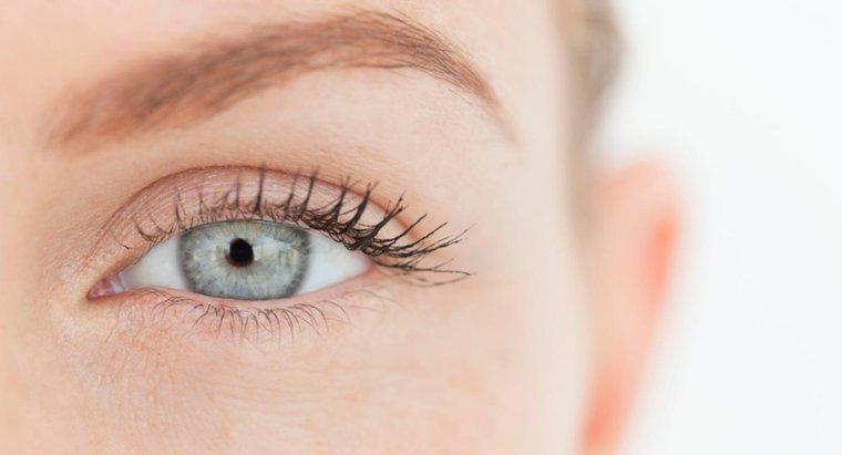 ¿Cómo se llama la parte blanca del ojo?
