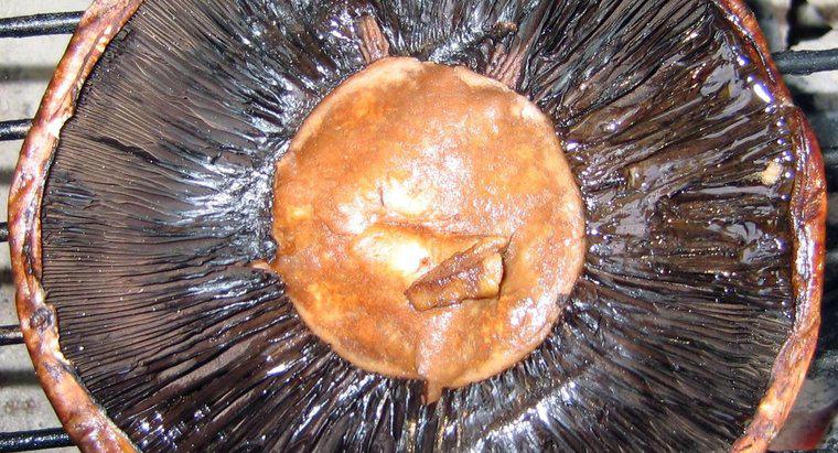 ¿Los cocineros eliminan las branquias de un hongo Portobello?