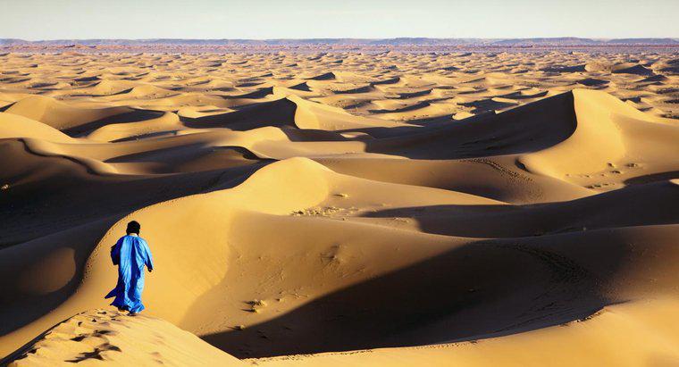 ¿Cuáles son las ocupaciones de quienes viven en el desierto del Sahara?