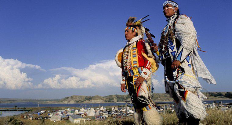 ¿Cuál fue el efecto de la expansión hacia el oeste en los nativos americanos?