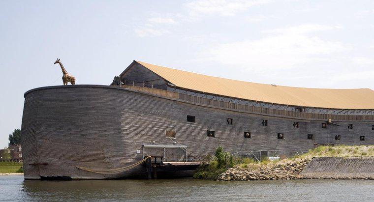 ¿Dónde vivió Noah?