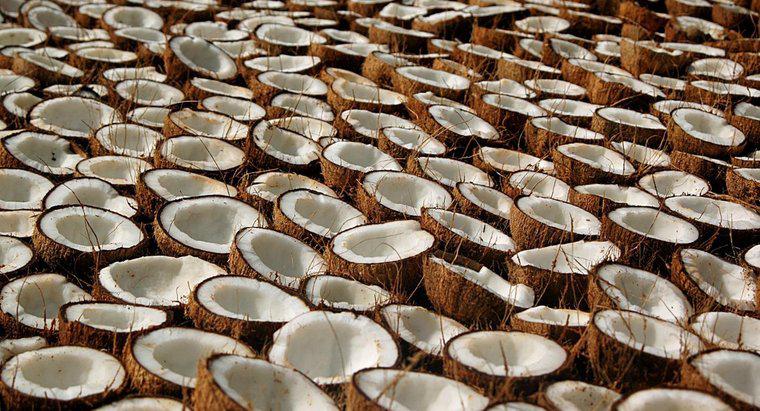 ¿Cuáles son los beneficios para la salud y usos del aceite de coco?