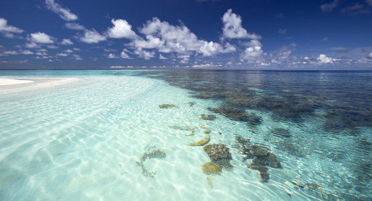 ¿Cuál es el océano más cálido del mundo?