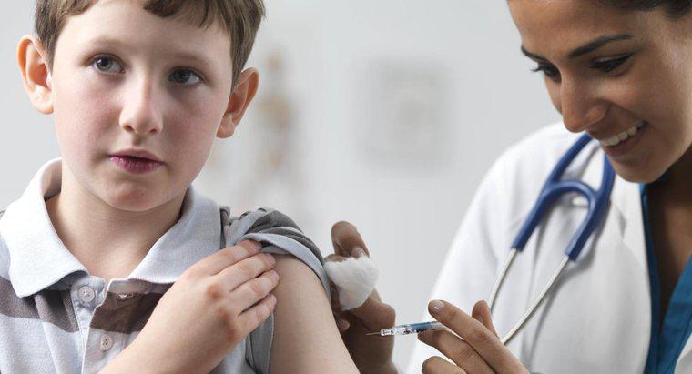 ¿En qué consiste la vacuna contra la neumonía y cuánto cuesta?