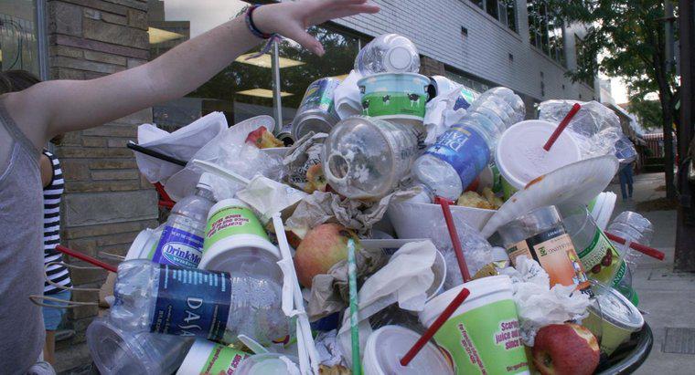 ¿Cuántas botellas de plástico se tiran cada año?