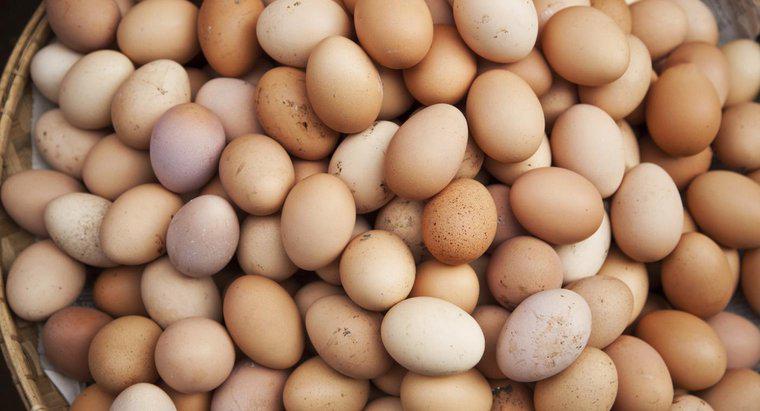 ¿Se consideran los huevos lácteos o aves de corral?