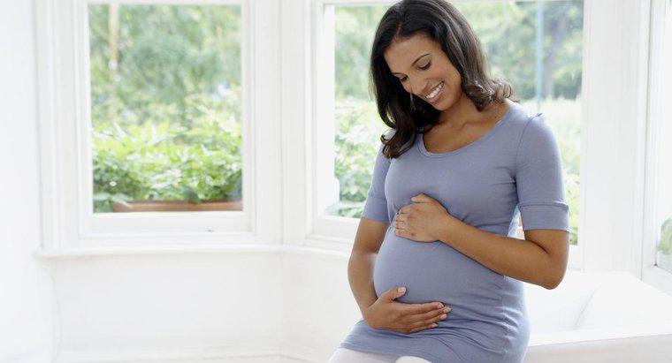 ¿Cómo afecta el embarazo la temperatura corporal basal de una mujer?