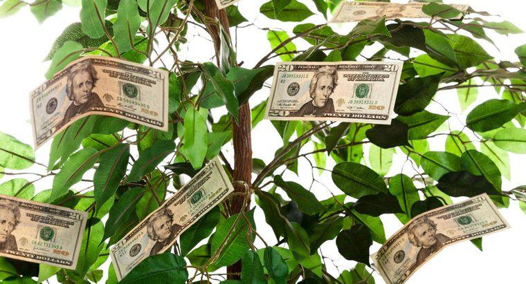 ¿Cómo dar un árbol de dinero como regalo?