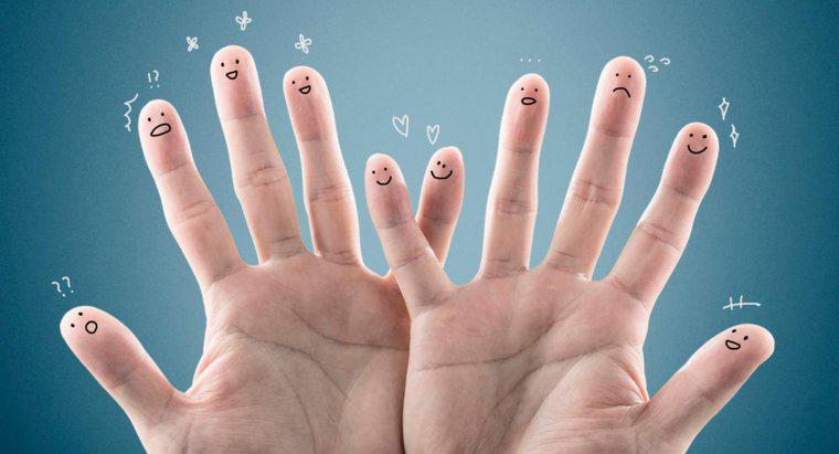 ¿Por qué las yemas de los dedos son muy sensibles al tacto?
