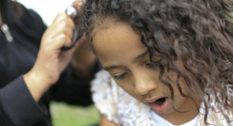 ¿Dónde puedes encontrar fotos de peinados afroamericanos para niños?
