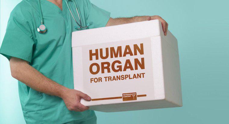 ¿Cuáles son las ventajas y desventajas de los trasplantes de órganos?