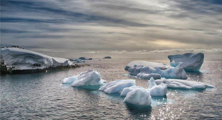 ¿Cuáles son los tres océanos que bordean la Antártida?