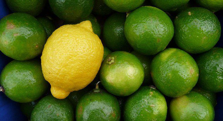 ¿Cuáles son las diferencias entre limones y limas?