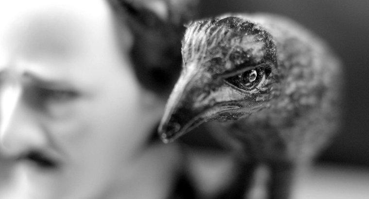 ¿Cuáles son algunas alusiones presentes en "The Raven" por Edgar Allen Poe?