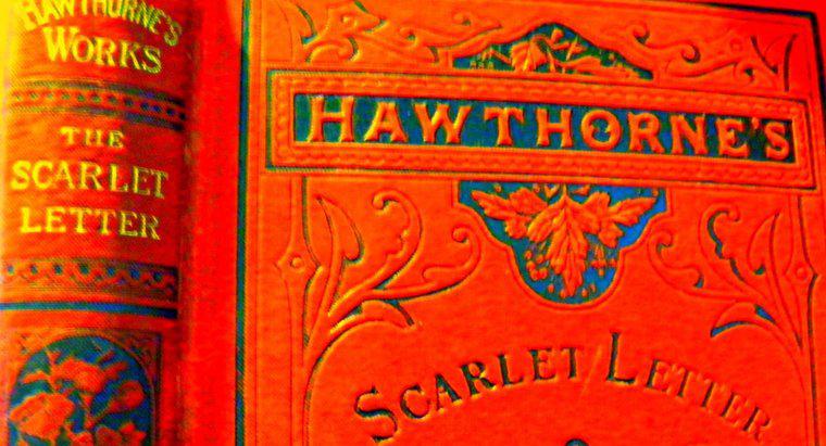 ¿Es "The Scarlet Letter" una novela protofeminista?
