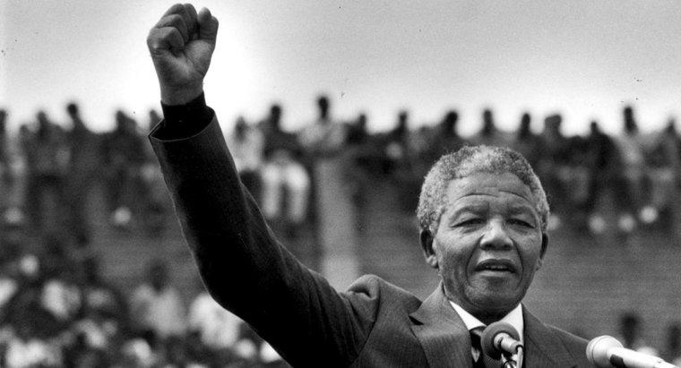 ¿Por qué luchó Nelson Mandela?