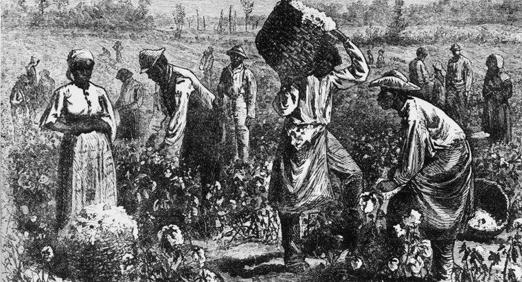 ¿En qué se diferenció el problema de la esclavitud en el norte y en el sur?