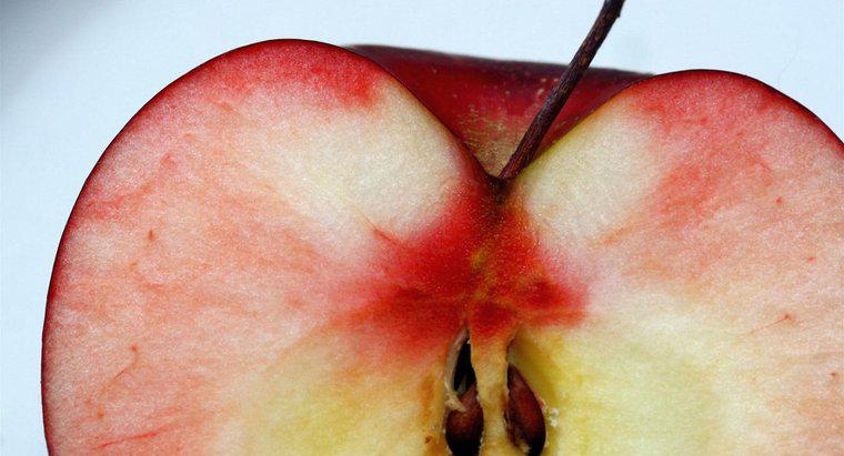 ¿Cómo se dispersan las semillas de manzana?