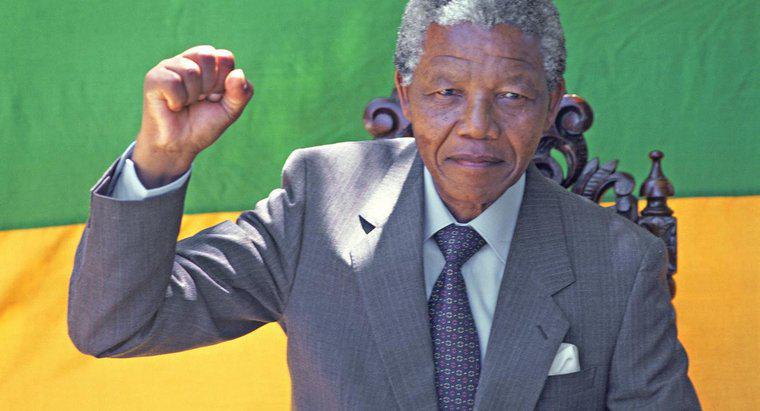 ¿Qué logró Nelson Mandela?