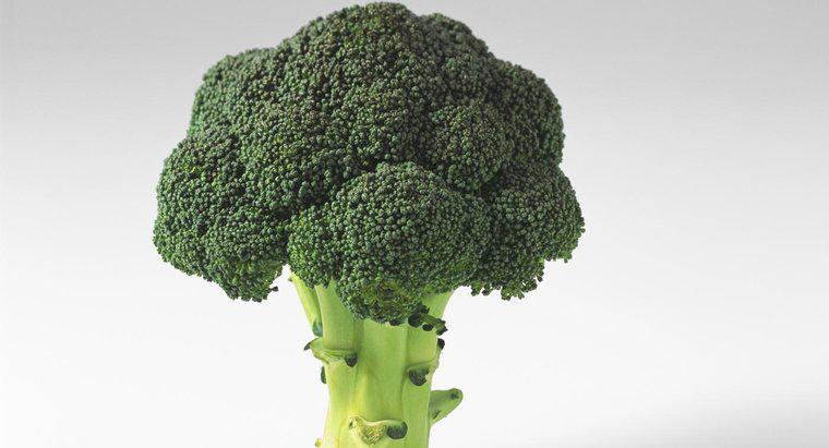 ¿Qué hace el brócoli para su cuerpo?