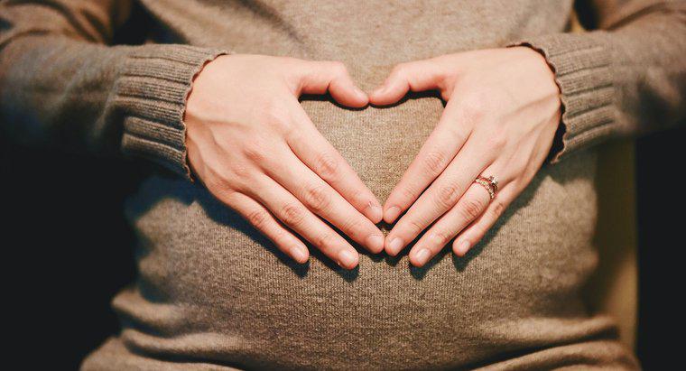 ¿Cuándo es el momento adecuado para tomar una prueba de embarazo?
