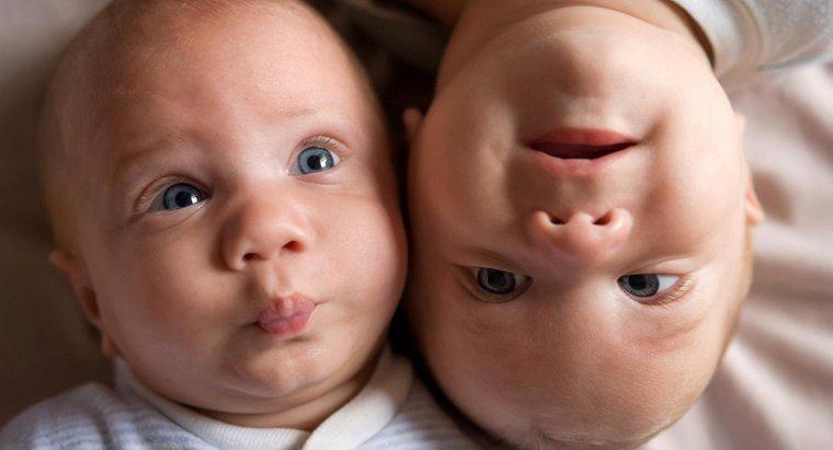 ¿Pueden los gemelos nacer en años separados?