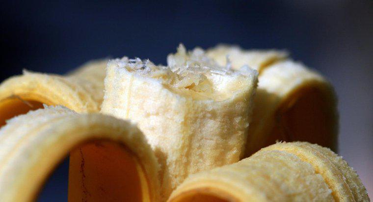 ¿Las cáscaras de plátano son venenosas para los humanos?