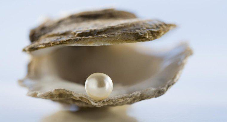 ¿Qué es el simbolismo de una perla?