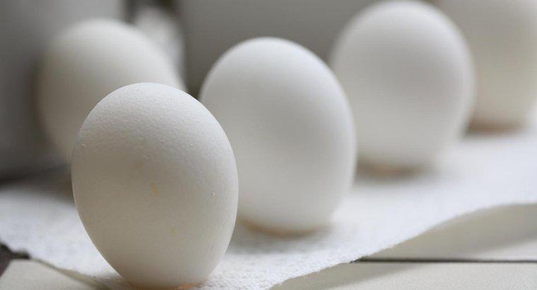 ¿Qué pasa si comes un huevo malo?
