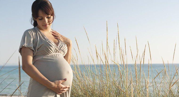 ¿Cuáles son algunos signos de embarazo en seres humanos?