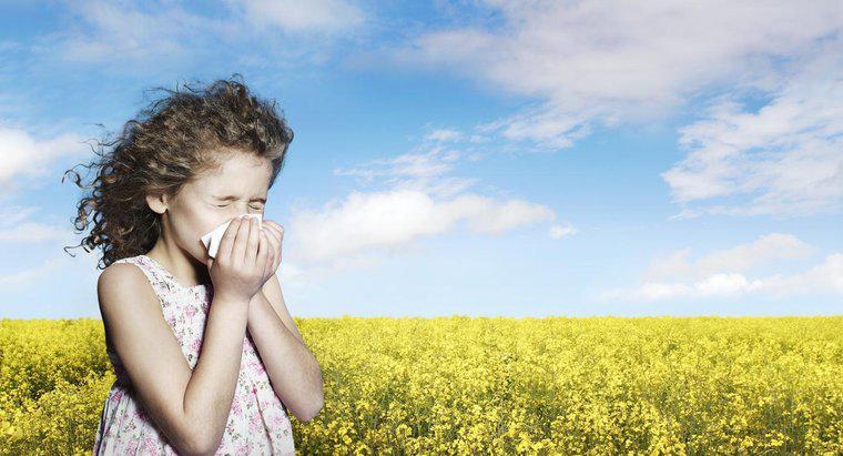 ¿El estornudo mata las células cerebrales?