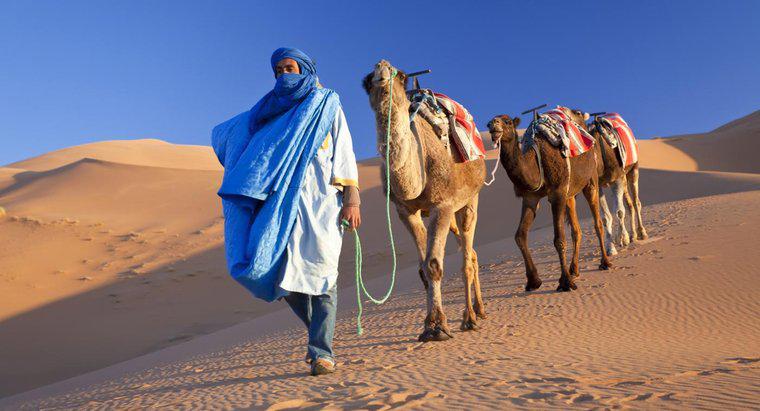 ¿Qué países cubre el desierto del Sahara?