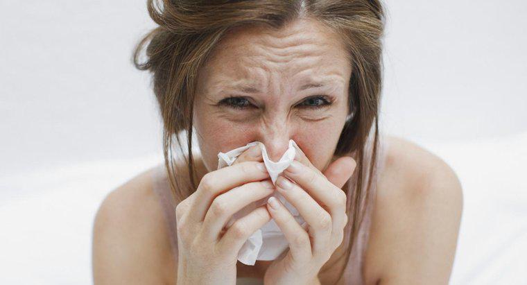 ¿Qué patógeno causa la gripe?