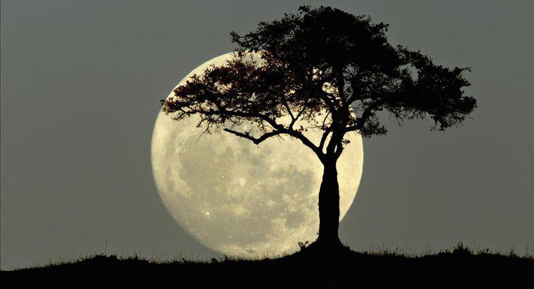 ¿Qué simboliza la luna llena?