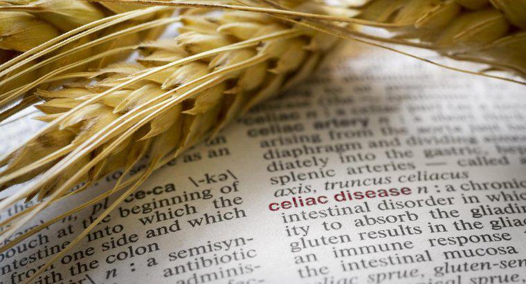 ¿Cuáles son algunos síntomas de la alergia al trigo?
