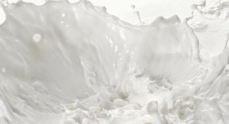 ¿Cómo se elimina la lactosa de la leche?