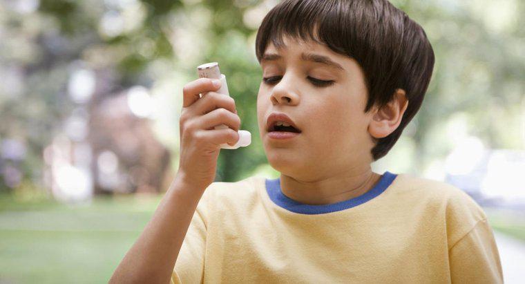 ¿Cómo se ve afectado el sistema respiratorio por el asma?