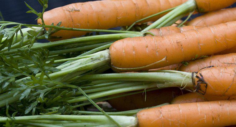 ¿Cuántas zanahorias se necesitan para volver naranja la piel?