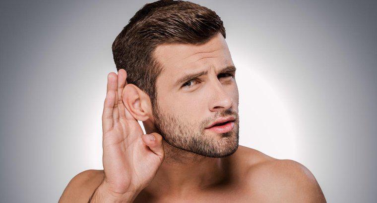 ¿Cuáles son algunas causas posibles de ruidos en su oído?