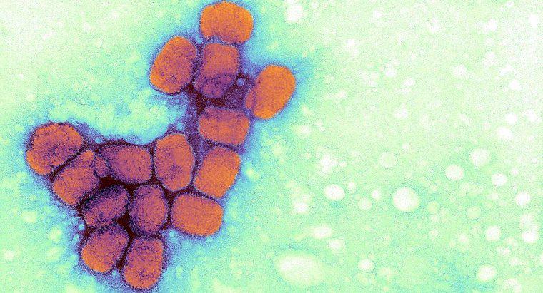 ¿Cuáles son los efectos a largo plazo de la viruela?