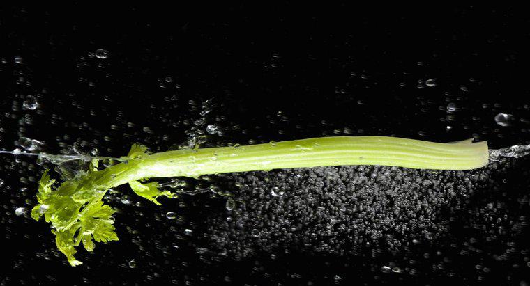 ¿Por qué Limp Celery se vuelve crujiente en agua?