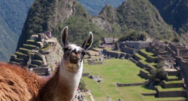 ¿Dónde estaba ubicado el Imperio Inca?