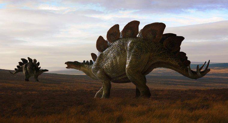 ¿Cuándo los dinosaurios vagaron por la tierra?