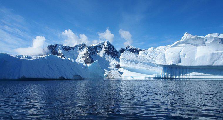 ¿Cuáles son algunos hechos sobre la Antártida?