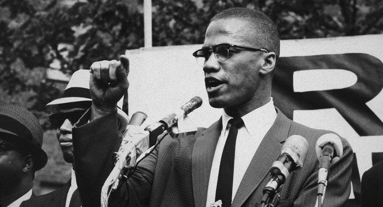 ¿Por qué es importante Malcolm X?