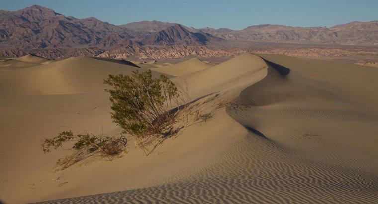¿Qué agente de la erosión crea dunas de arena?