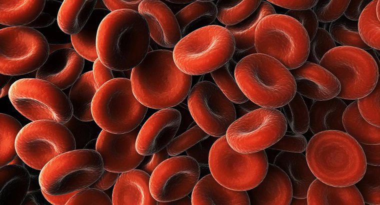 ¿Qué causa la proteína en la sangre?