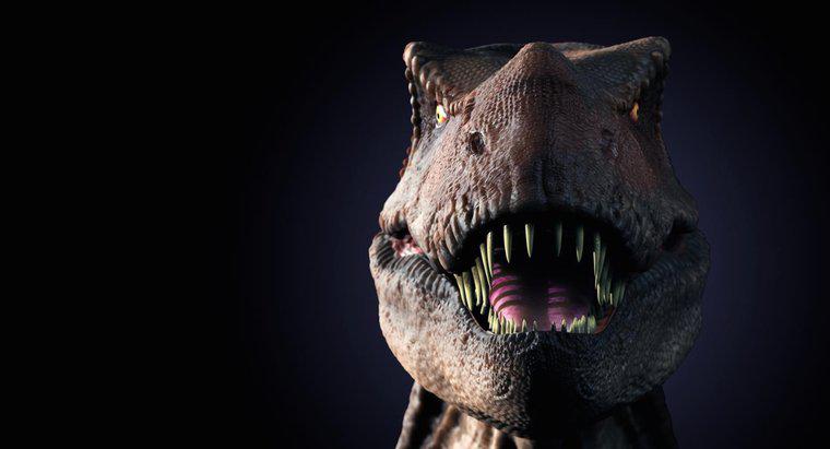 ¿Cuáles son algunos datos divertidos sobre el T. Rex para niños?