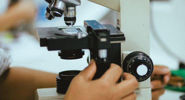 ¿Cuál es el propósito de un microscopio?