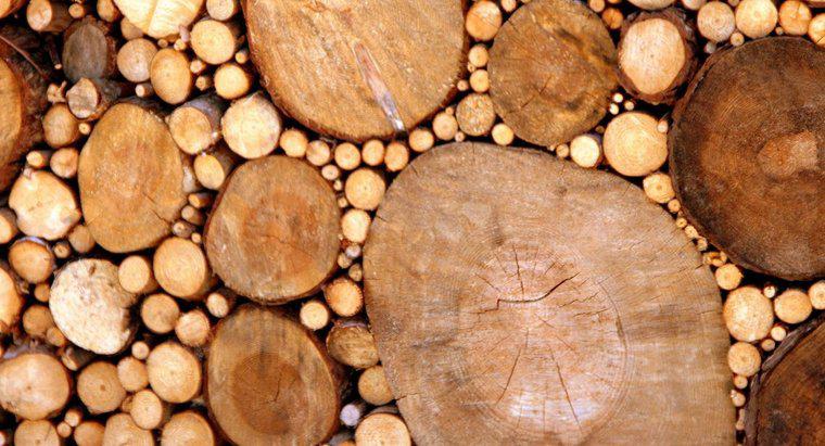 ¿Cómo se forma la madera?